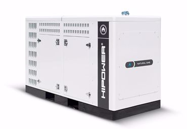 Picture for category Natural Gas Generators
