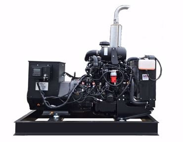 Picture for category Poultry Generators